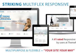 Striking Wordpress Theme Nulled Themeforest MultiFlex & Ecommerce Theme Free Download