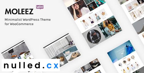 Moleez v2.3.11 – Minimalist WordPress Theme for WooCommerce