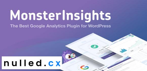 MonsterInsights Pro v8.4.0 – Google Analytics WordPress Plugin