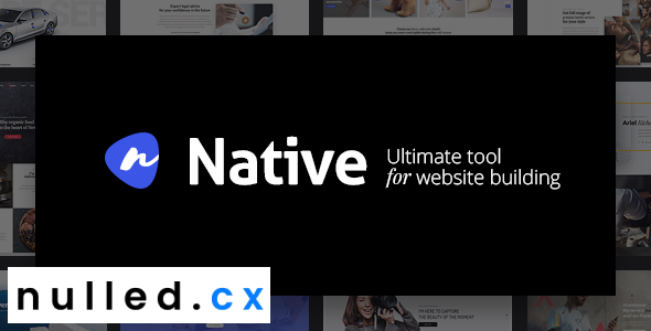 Native Theme Nulled - Stylish Multi-Purpose Creative WP Theme Free Download