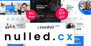 Reobiz Consulting Business WordPress Theme Nulled