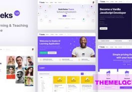 Geeks Theme Nulled - Online Learning Marketplace WordPress Theme Free Download