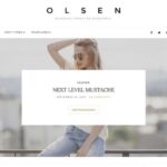 CSS Igniter Olsen Blogging WordPress Theme Nulled Free Download