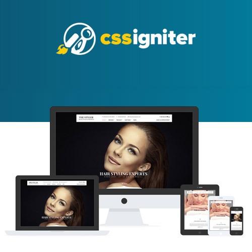 CSS Igniter The Styler WordPress Theme Nulled Download