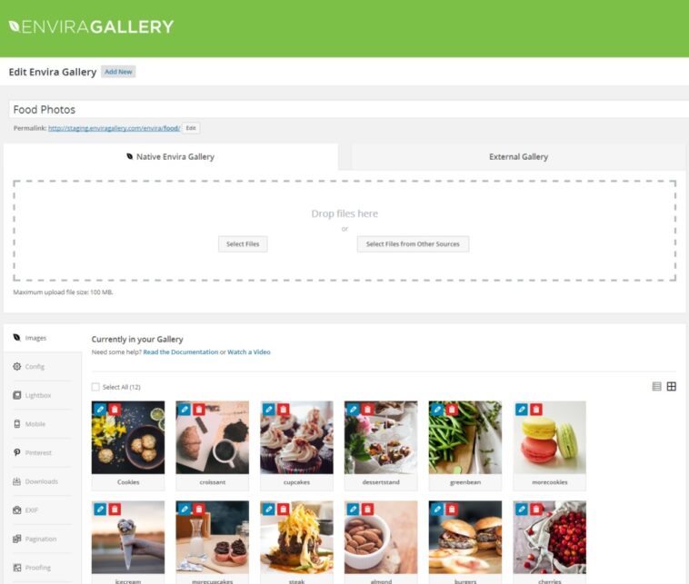 Envira Gallery Pro Nulled Free Download