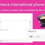 Free Download WooCommerce international phone input Nulled