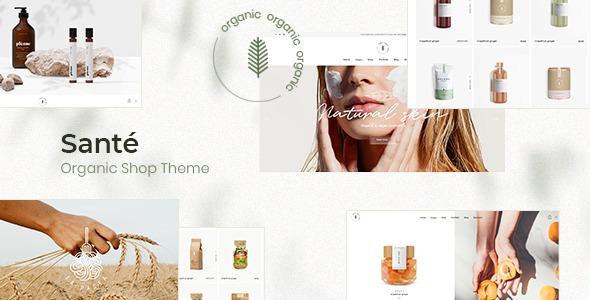 Santé - Organic Shop WordPress Theme Nulled Download