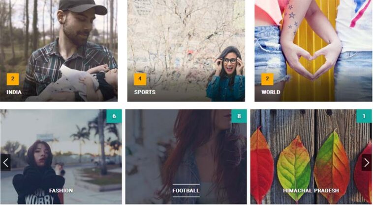 free download Post Category Image Grid and Slider Pro Nulled
