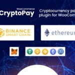 CryptoPay WooCommerce Nulled Cryptocurrency Payment Plugin Free Download