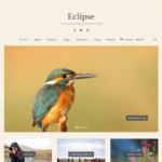 Free Download WPZoom Eclipse WordPress Theme Nulled