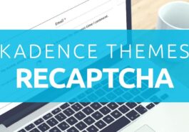 free download Kadence reCAPTCHA nulled