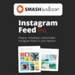 free download SmashBallon – Custom Instagram Feeds Pro nulled