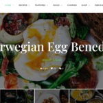 free download TinySalt - Personal Food Blog WordPress Theme nulled