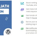 free download Traffic Goliath PRO – Generates 100s of Google Page #1 Rankings nulled