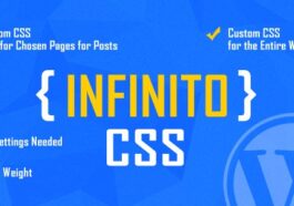 free Download INFINITO - Custom CSS for Chosen Pages and Posts or for Entire Website - WordPress Plugin nulled