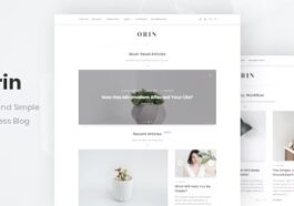 free download Orin - Minimal Blog For WordPress nulled