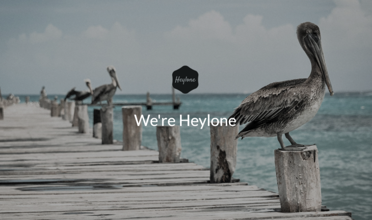 free download Heylone - One Page Parallax WordPress Theme nulled