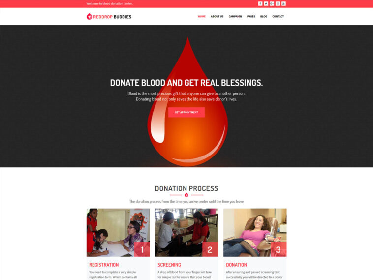 free download Reddrop Buddies – Multi-Concept Activism & Blood Donation Campaign WordPress Theme nulled