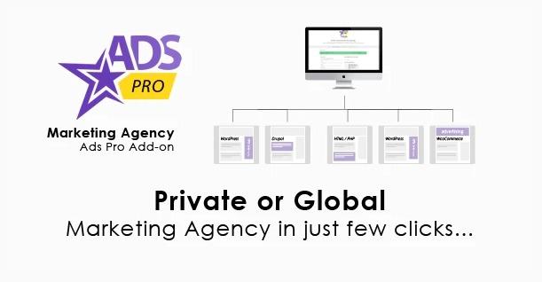 ADS PRO WordPress Marketing Agency Add-on Nulled