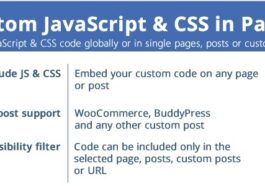 Custom JavaScript & CSS in Pages Nulled