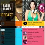 Hero Nulled Shoutcast and Icecast Radio Player With History Free Download
