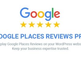 free download Google Places Reviews Pro WordPress Plugin nulled