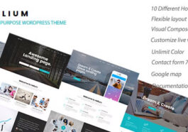 free download Helium - 10 in 1 Marketing WordPress Theme nulled