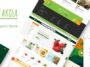 Akola Organic & Food Store WordPress Theme Nulled