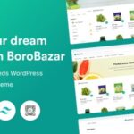 BoroBazar Daily Needs WooCommerce WordPress theme Nulled