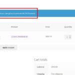 Coupons Pro for WooCommerce Nulled Free Download