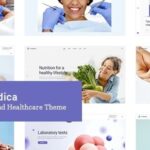 ProMedica Nulled Medical and Healthcare Theme Free Download