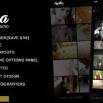 free download Agatha Art Gallery Photography Theme nulled
