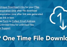 free download WP One Time File Download nulled