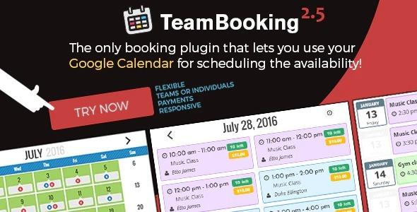 Team Booking WordPress Booking System Nulled