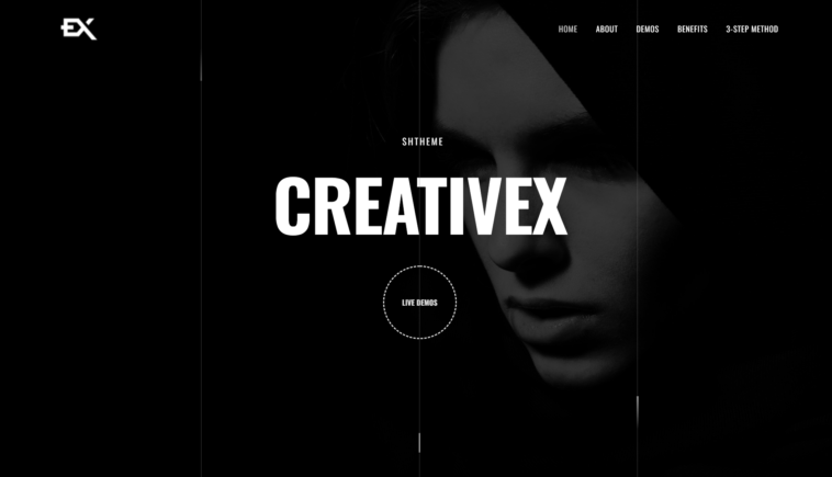 free download Creativex - A Bold Portfolio WordPress Theme nulled