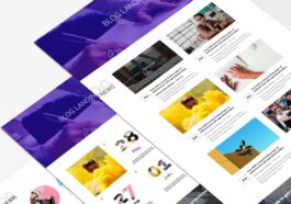 free download Divi Blog Module Nulled