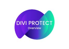 free download Divi Protect – Password Protect a section in Divi using Divi Protect Plugin nulled