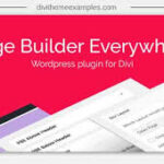free download Page Builder Everywhere nulled