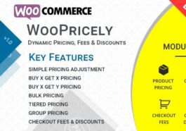 free download WooPricely Dynamic Pricing & Discounts nulled