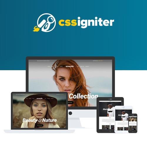 CSS Igniter Amaryllis WordPress Theme Free Download