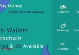 PayMoney Nulled Secure Online Payment Gateway Free Download