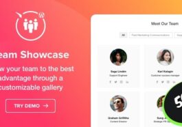 Team Showcase WordPress Plugin Nulled