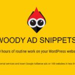 free download Woody code snippets Premium nulled