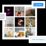 Instagram Widget & Block PRO Nulled (WPZOOM Social Feed Widget & Block Pro) Free Download