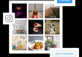 Instagram Widget & Block PRO Nulled (WPZOOM Social Feed Widget & Block Pro) Free Download