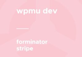 WPMU DEV – Forminator Stripe Subscriptions Nulled Free Download