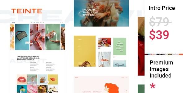 free download Teinte - Creative Portfolio and Design Theme nulled