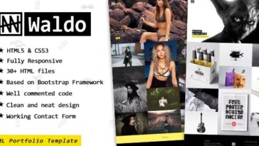free download Waldo - Portfolio Showcase Website Template for Freelancers & Agencies nulled