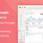 Enhanced Ecommerce Google Analytics for WooCommerce Nulled [dotStore] Updated on Free Download