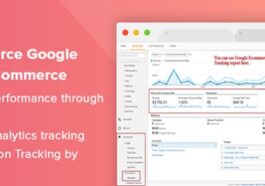 Enhanced Ecommerce Google Analytics for WooCommerce Nulled [dotStore] Updated on Free Download